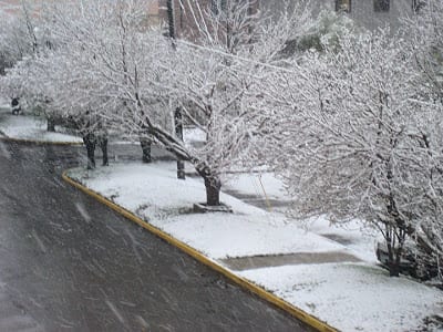 SnowinDenverApril272009-oYzKwz.jpg